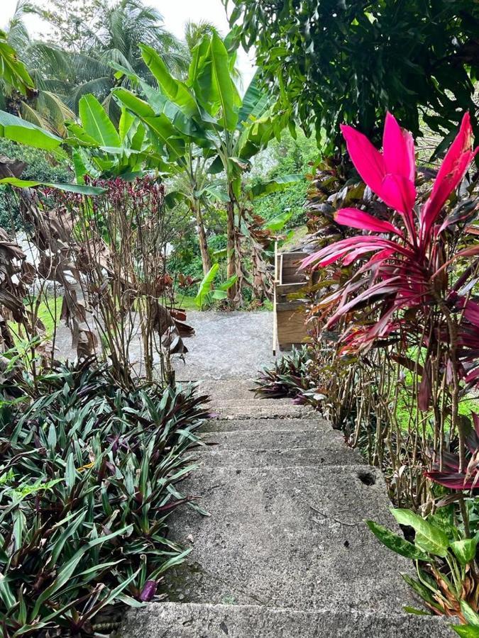 Casa Del Vega A Little Peace Of Heaven Hotel Castries Exterior photo