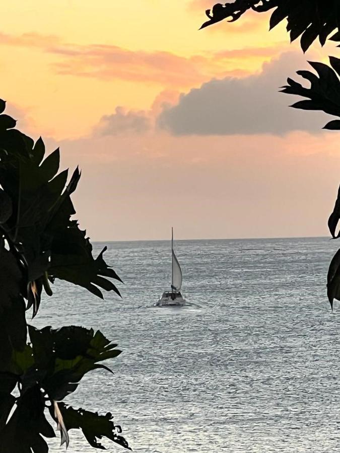 Casa Del Vega A Little Peace Of Heaven Hotel Castries Exterior photo