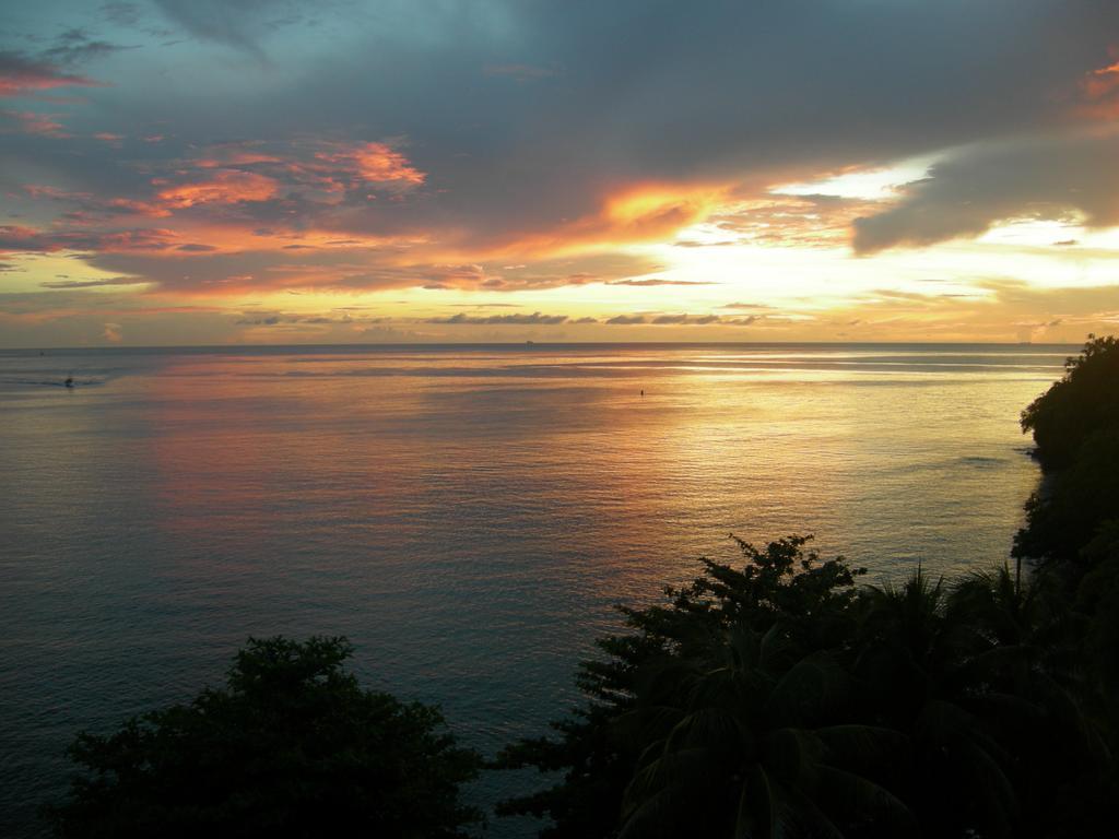 Casa Del Vega A Little Peace Of Heaven Hotel Castries Room photo
